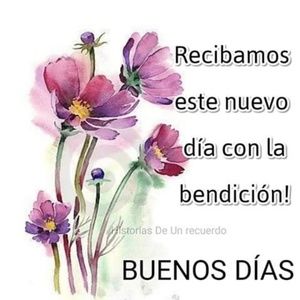 Meet your Posher, Hillary